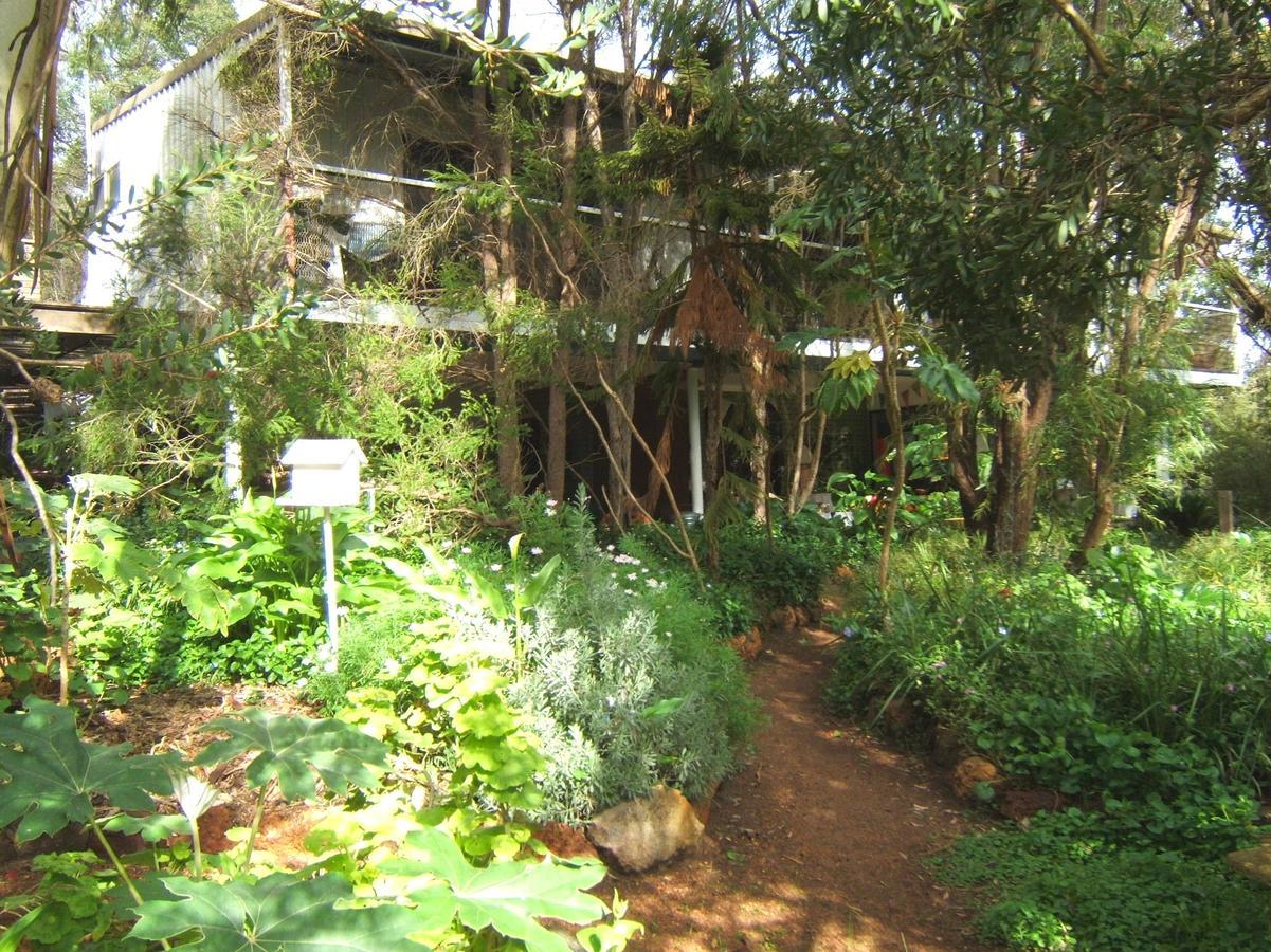 Whispering Pines Bed And Breakfast Collie Exterior photo
